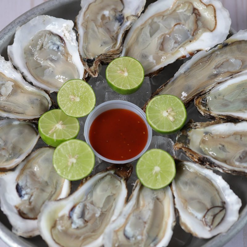 Oysters