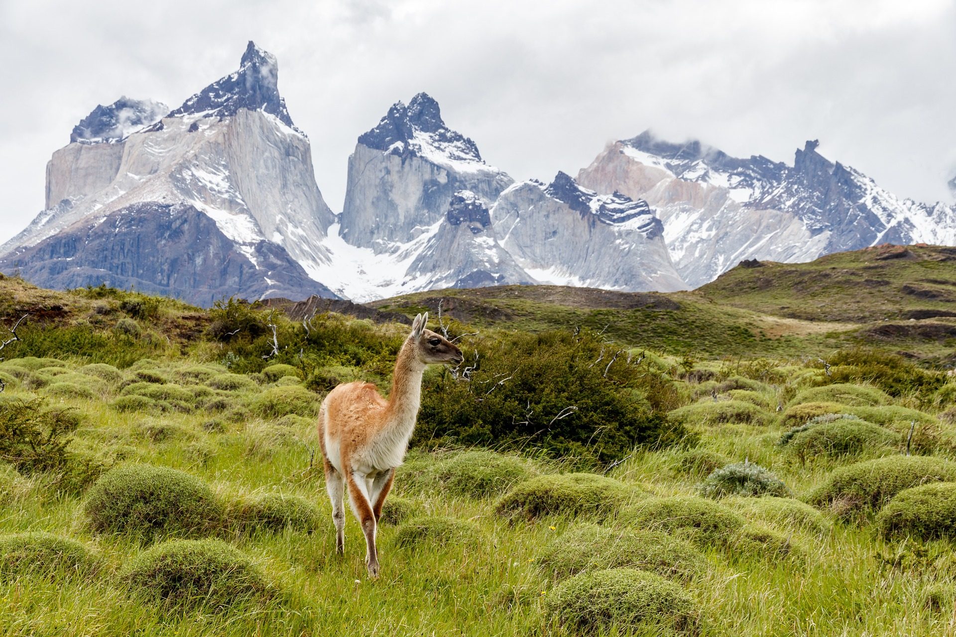 Torres del Paine National Park
