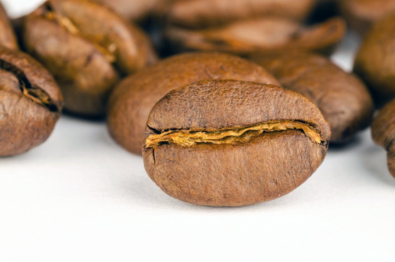 One coffee bean close-up