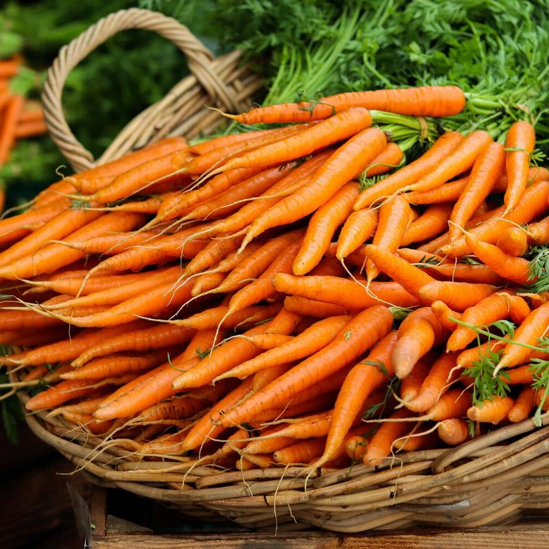 Carrots in a basket