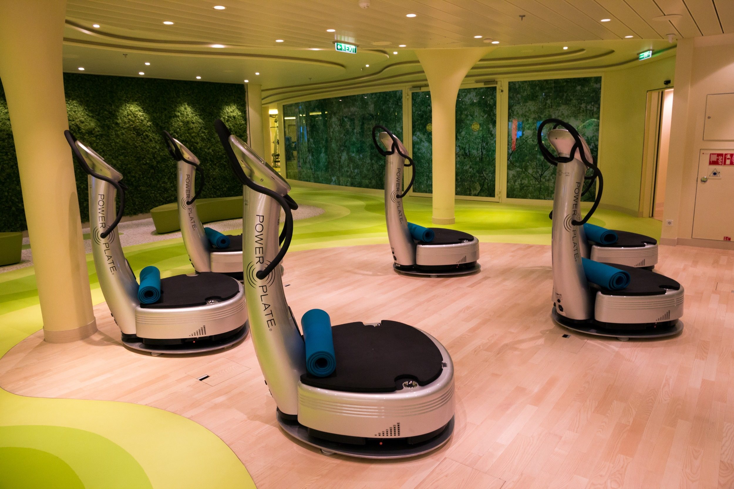 vibration plates machines in a gym
