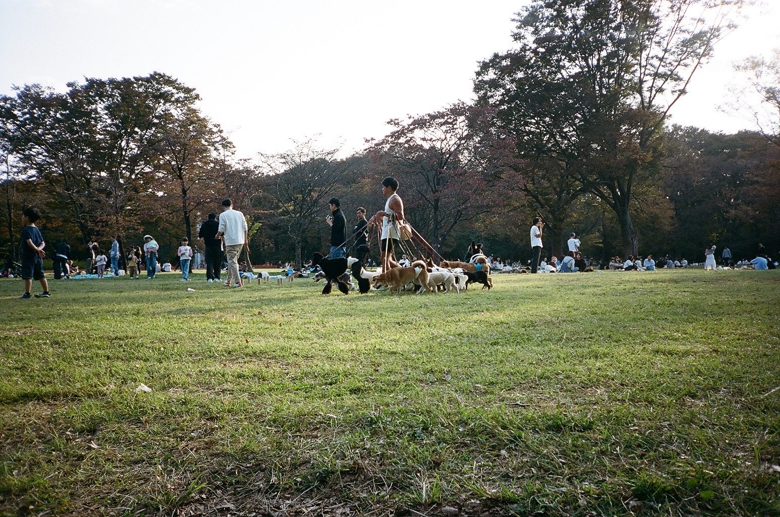 Yoyogi Park