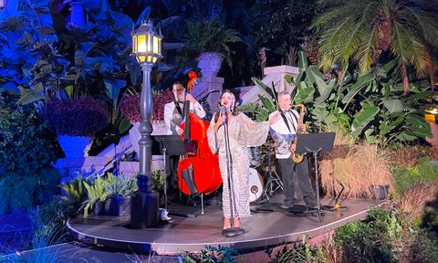 A singer performing at Jollywood Nights