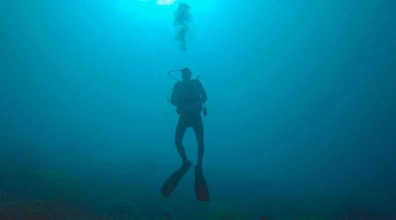 Scuba diver in Bonaire