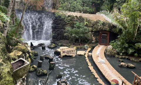 Birds lounging in the aviary at Xcaret