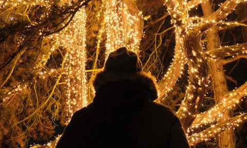 Man in front of Christmas lights