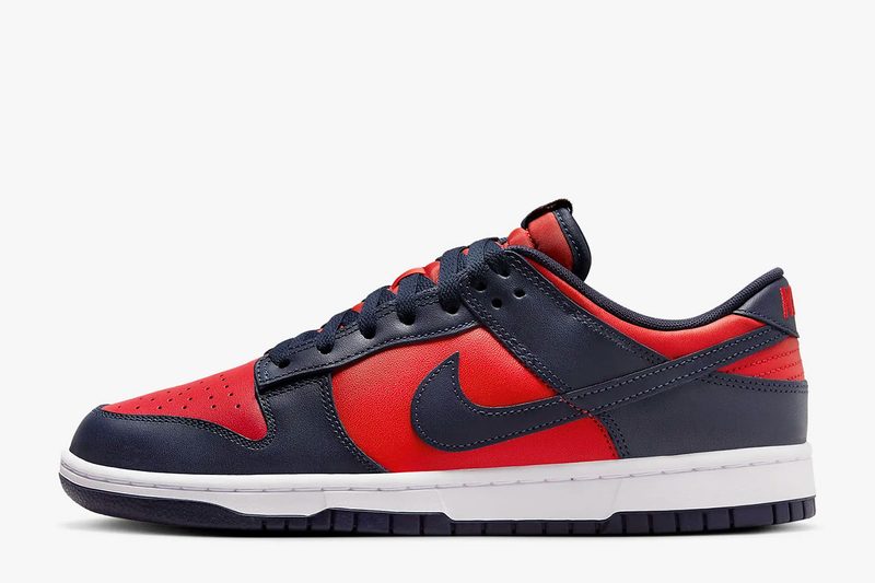 The Nike Dunk Low Retro on a white background.