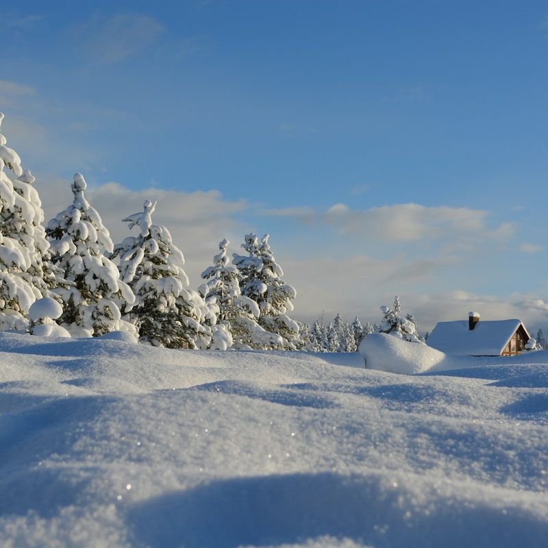 Winter at Island Park