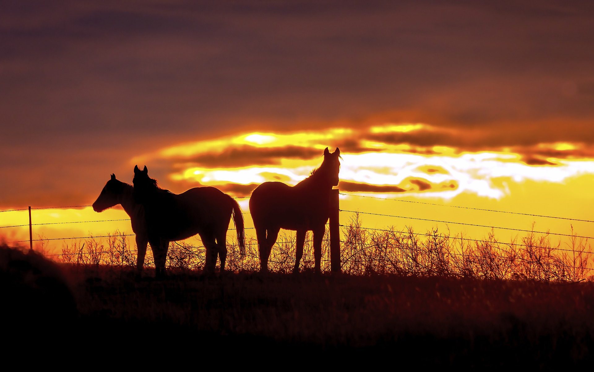 Pawhuska