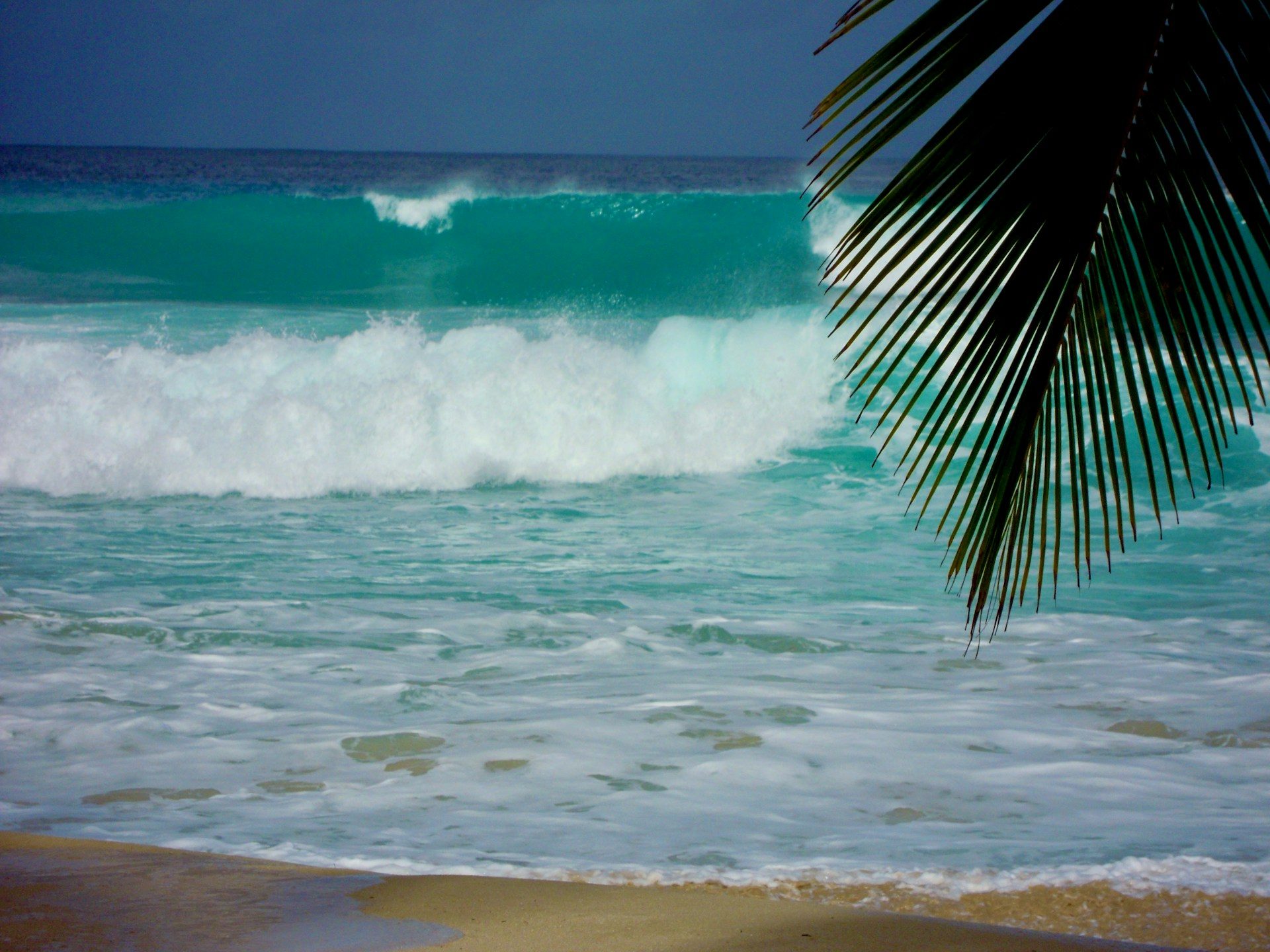 Barbados beach