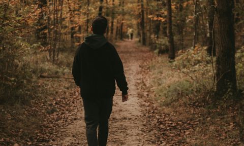 man walking outside in nature hiking trees forest