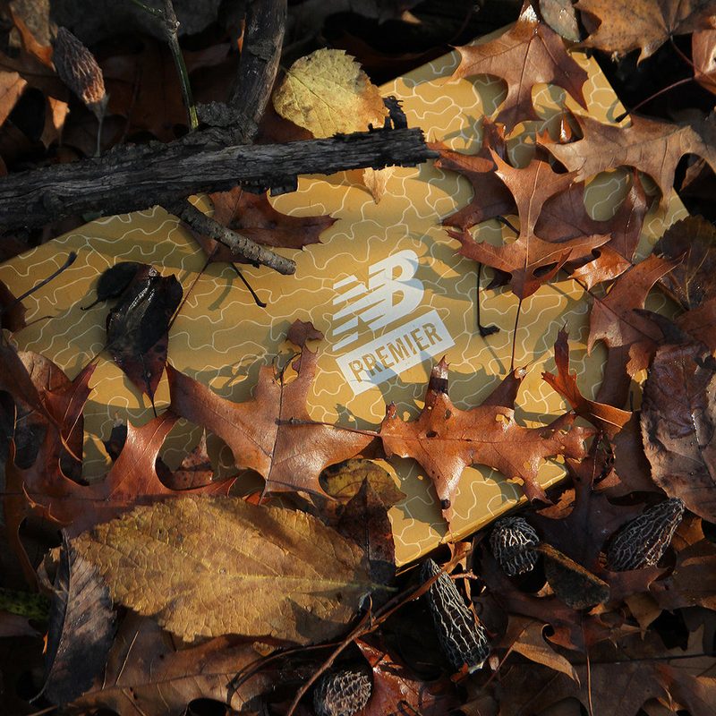 new balance box among leaves