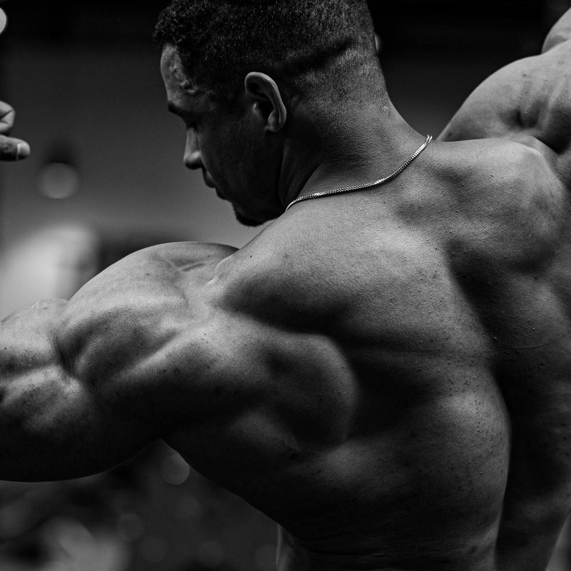 Muscle man showing upper back black and white picture muscles traps biceps flex