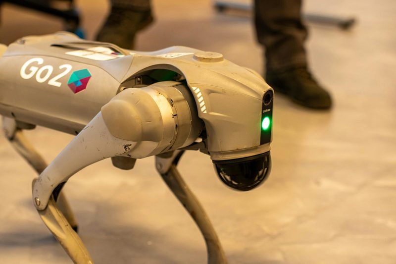 Go2 dog robot dog