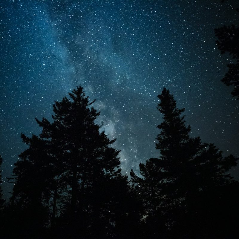 Night hiking and star gazing.