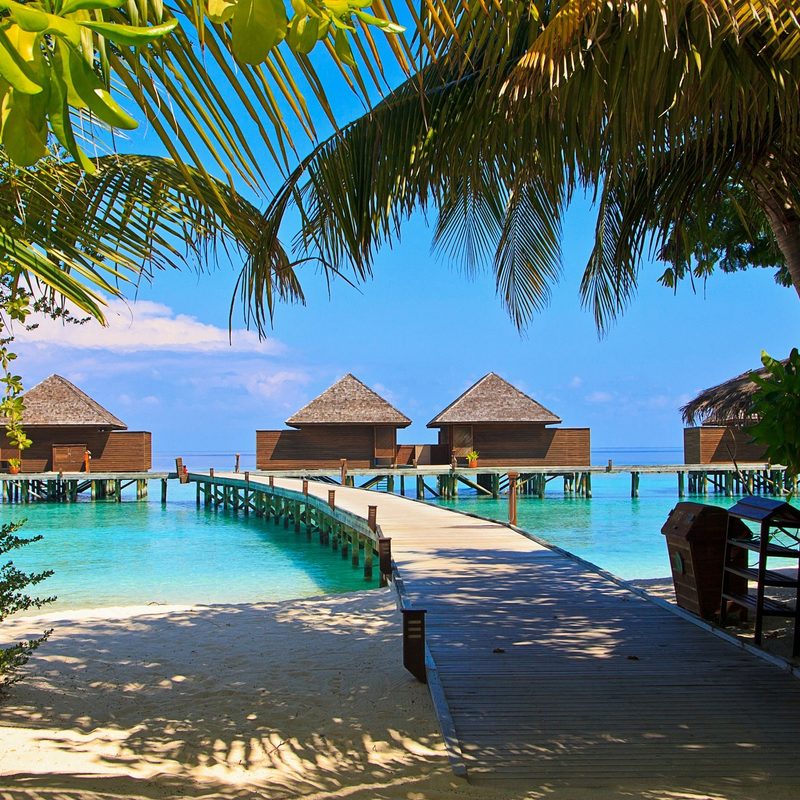 The Maldives