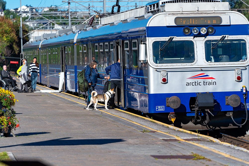 The Arctic Train