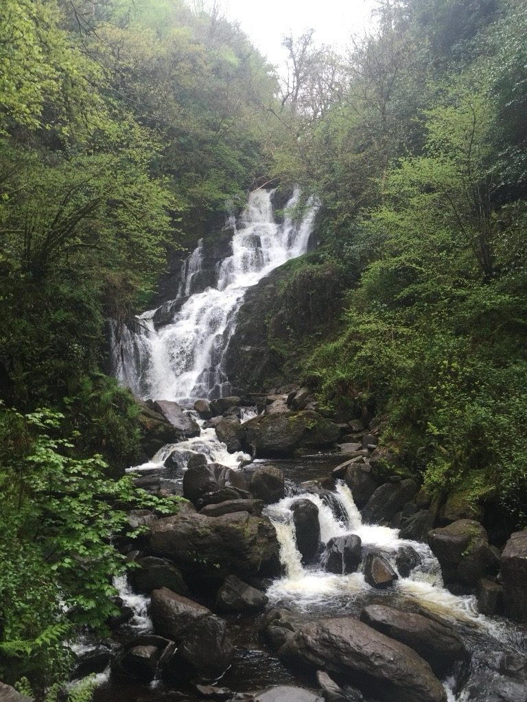 Killarney National Park