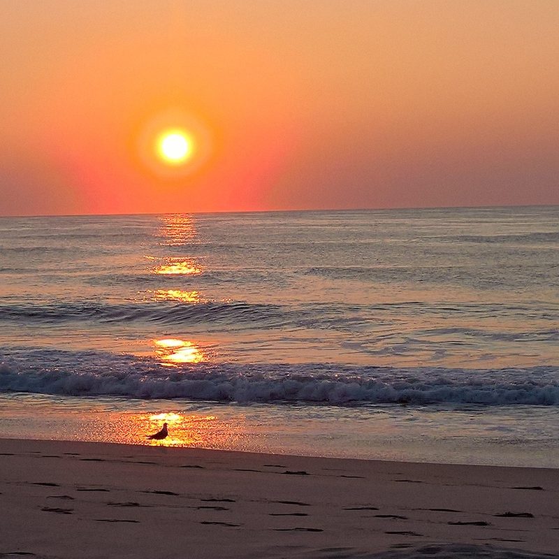 Ocean City Beach Maryland