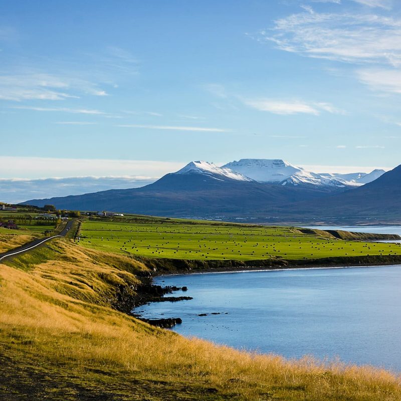 Field and mountain in Iceland