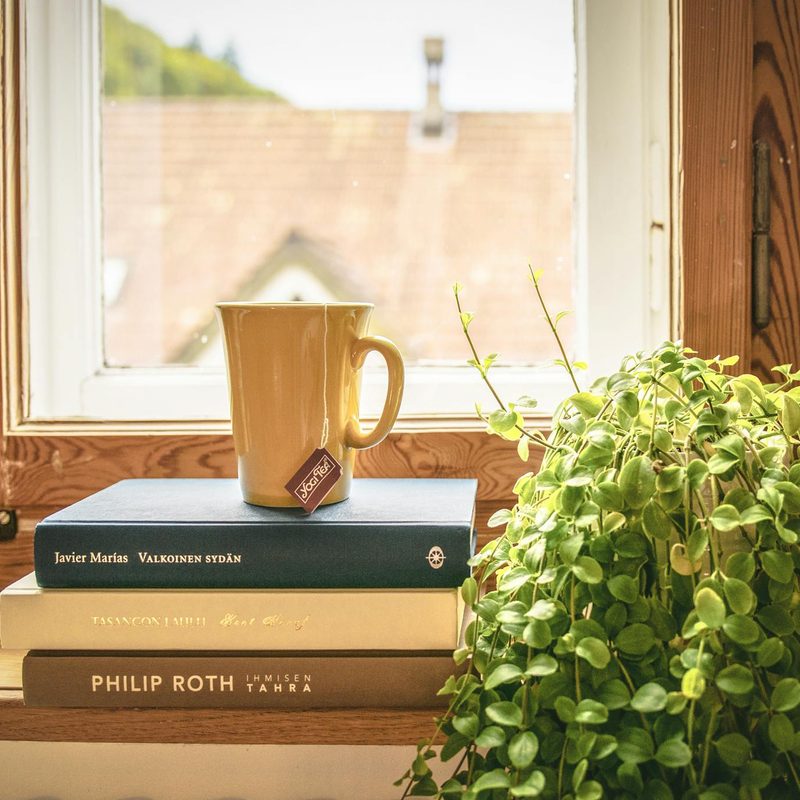 A coffee on books next to a window and a house plant