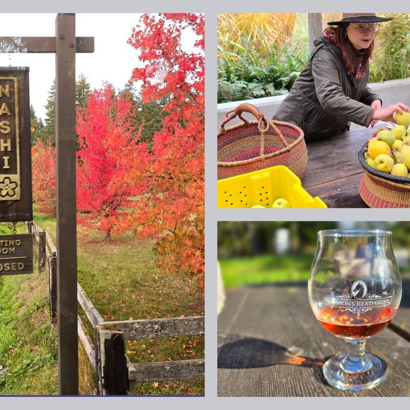 The sign for the Nashi Orchards tasting room, the owner of Nashi Orchards, and a glass of cider from Dragon's head cider