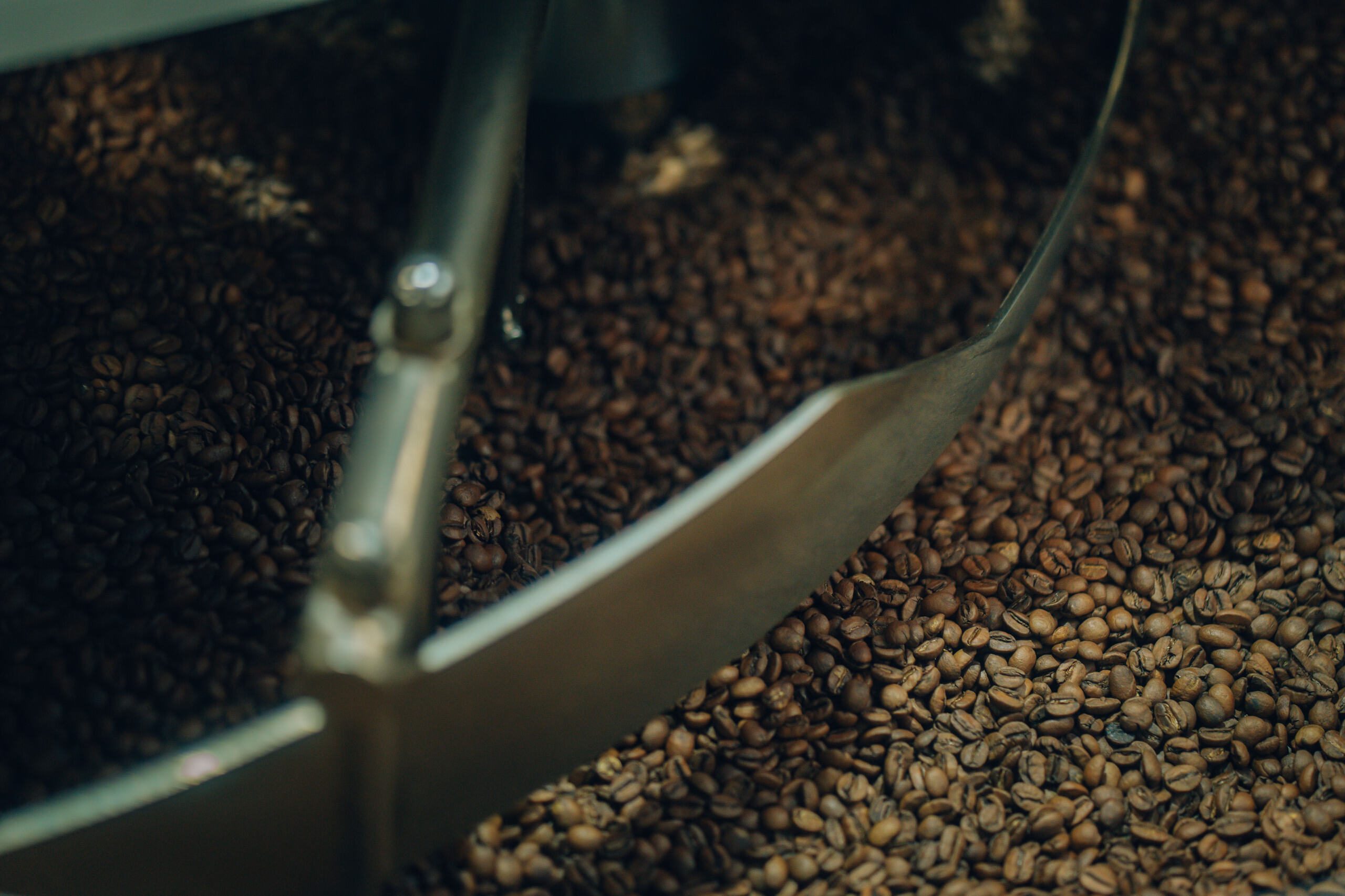 coffee beans