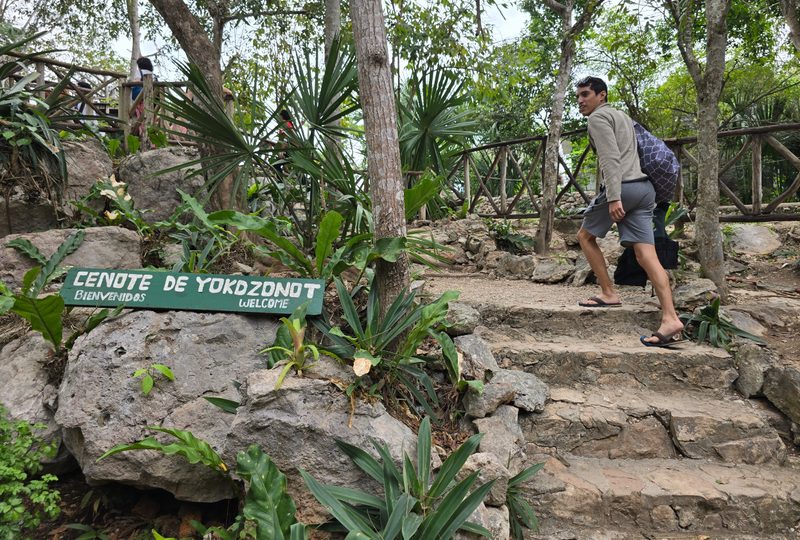 Raul Mercado walking on stairs in the jungle to a cenote