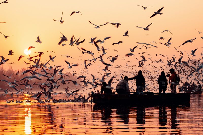 Delhi India