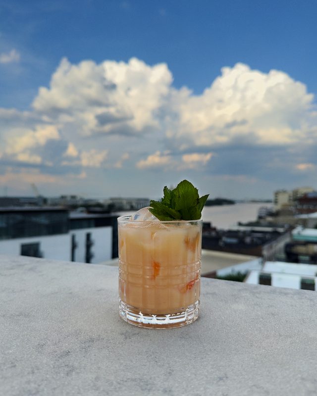 The Alida