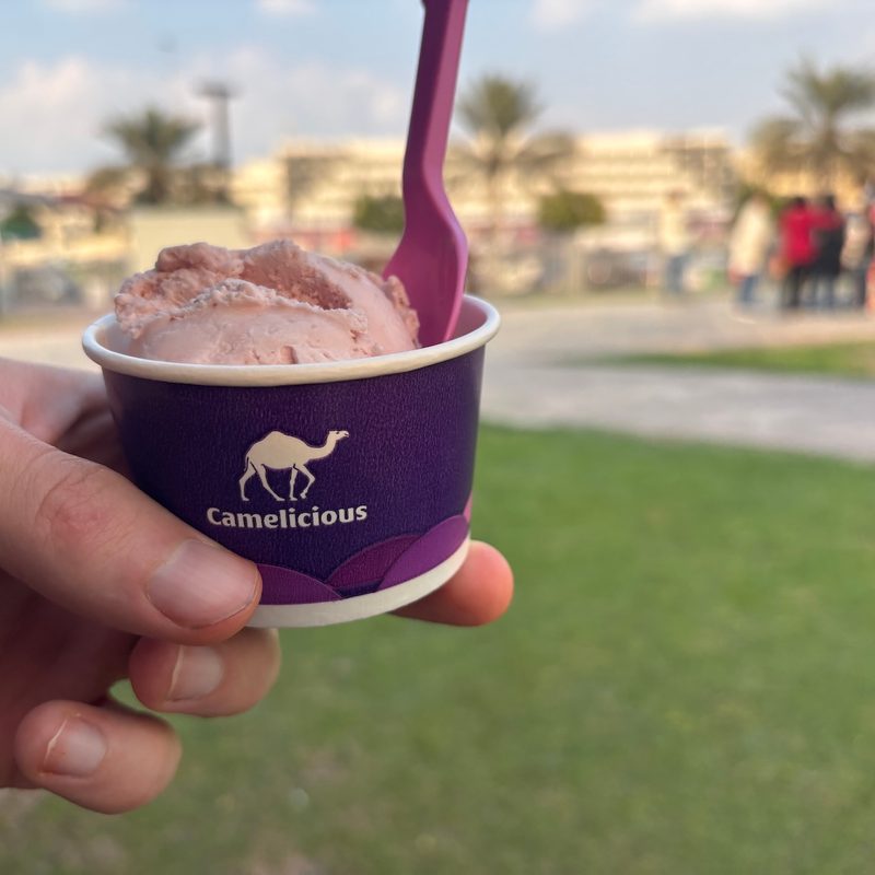 Camel milk ice cream