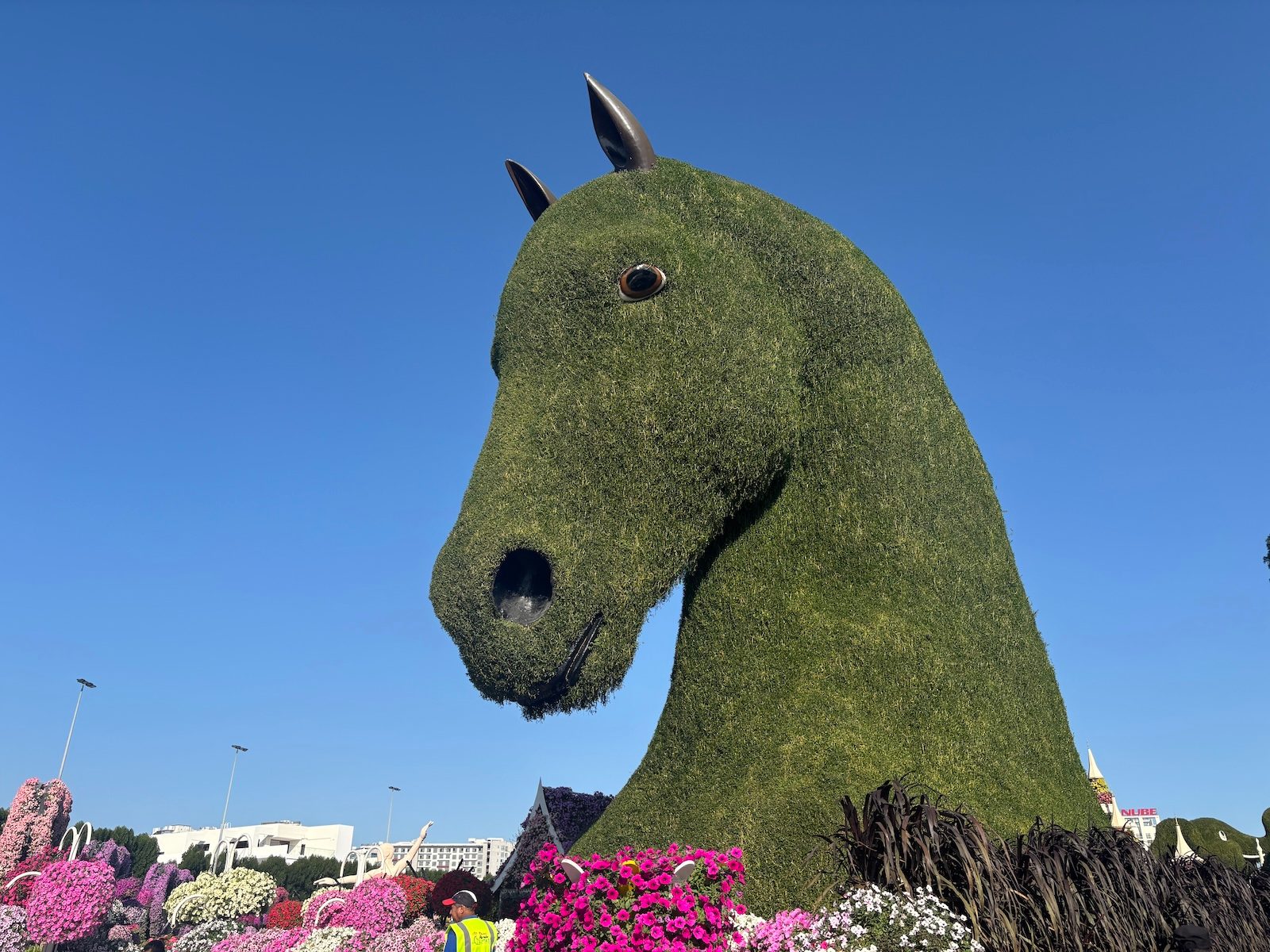 Dubai Miracle Garden