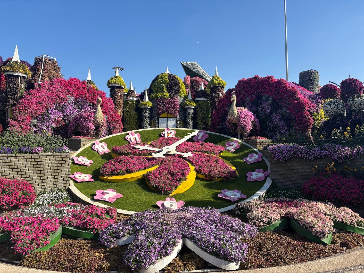 Dubai miracle garden