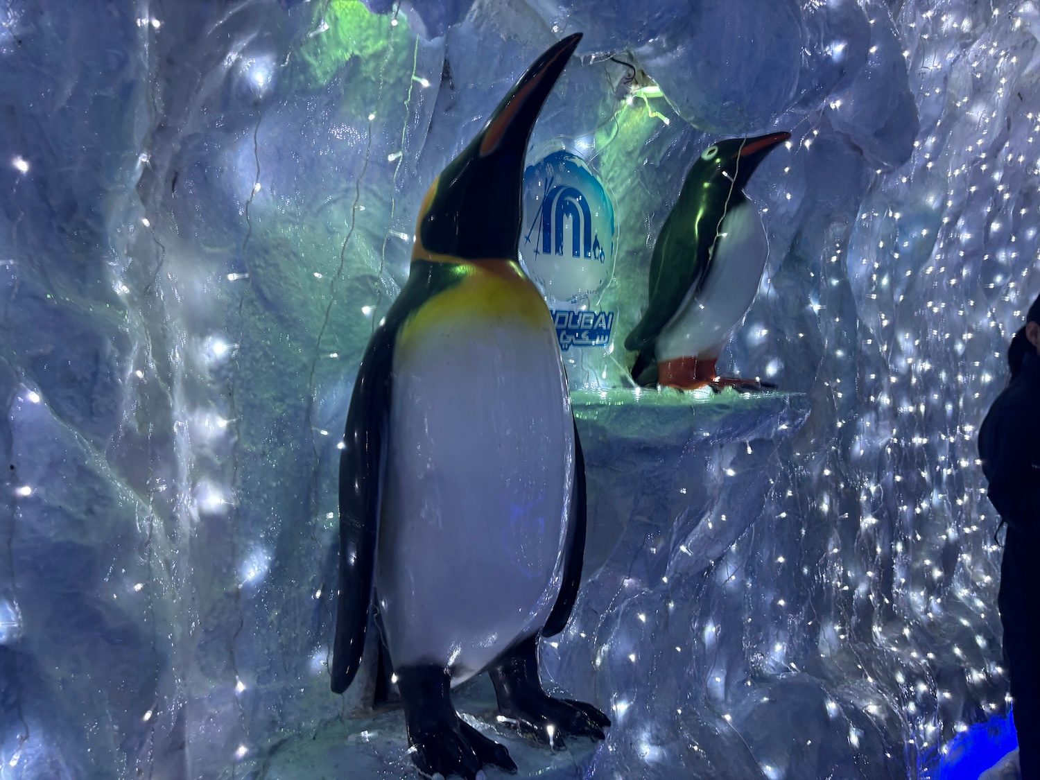 Penguin Ski Dubai