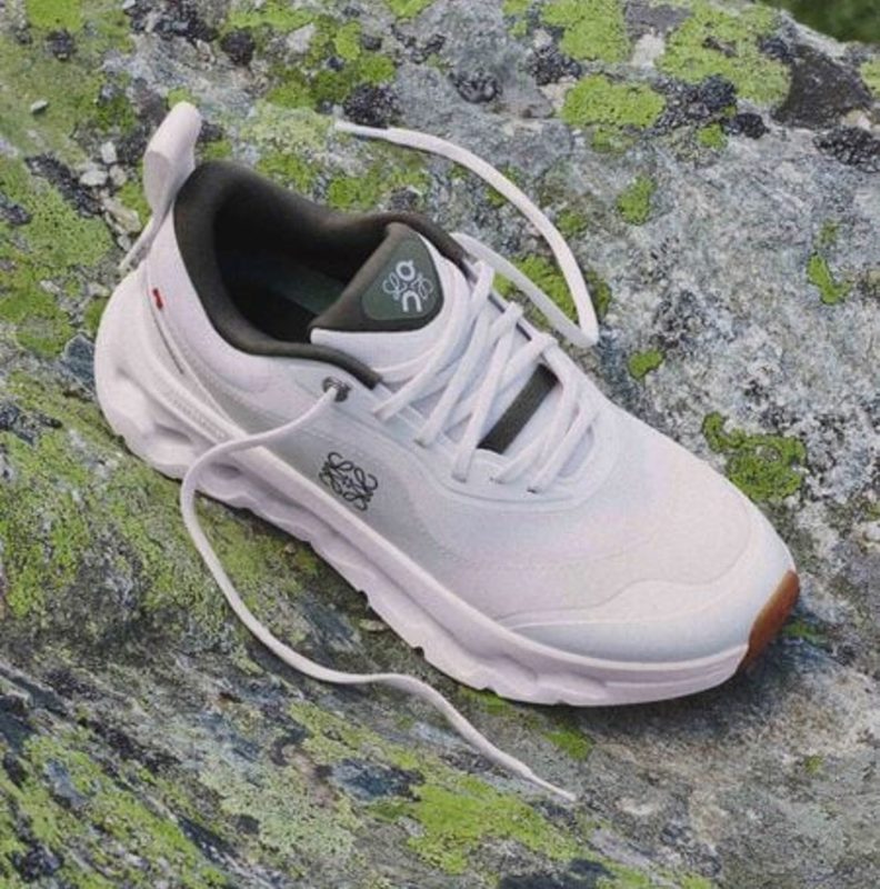 white sneaker on tree bark