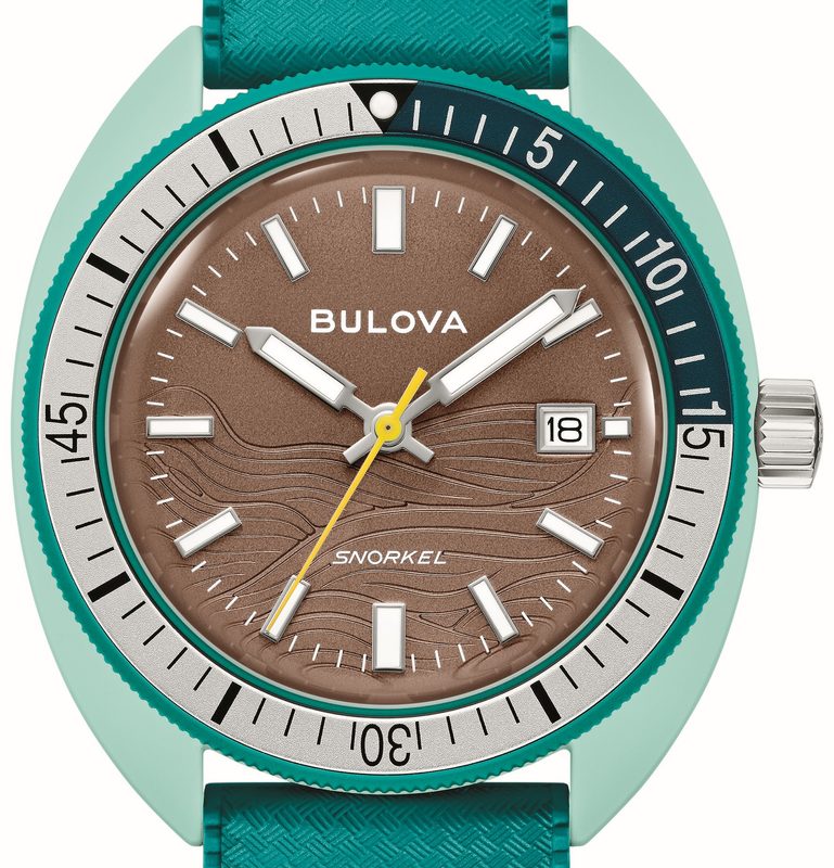 Sea Turtle Snorkel watch