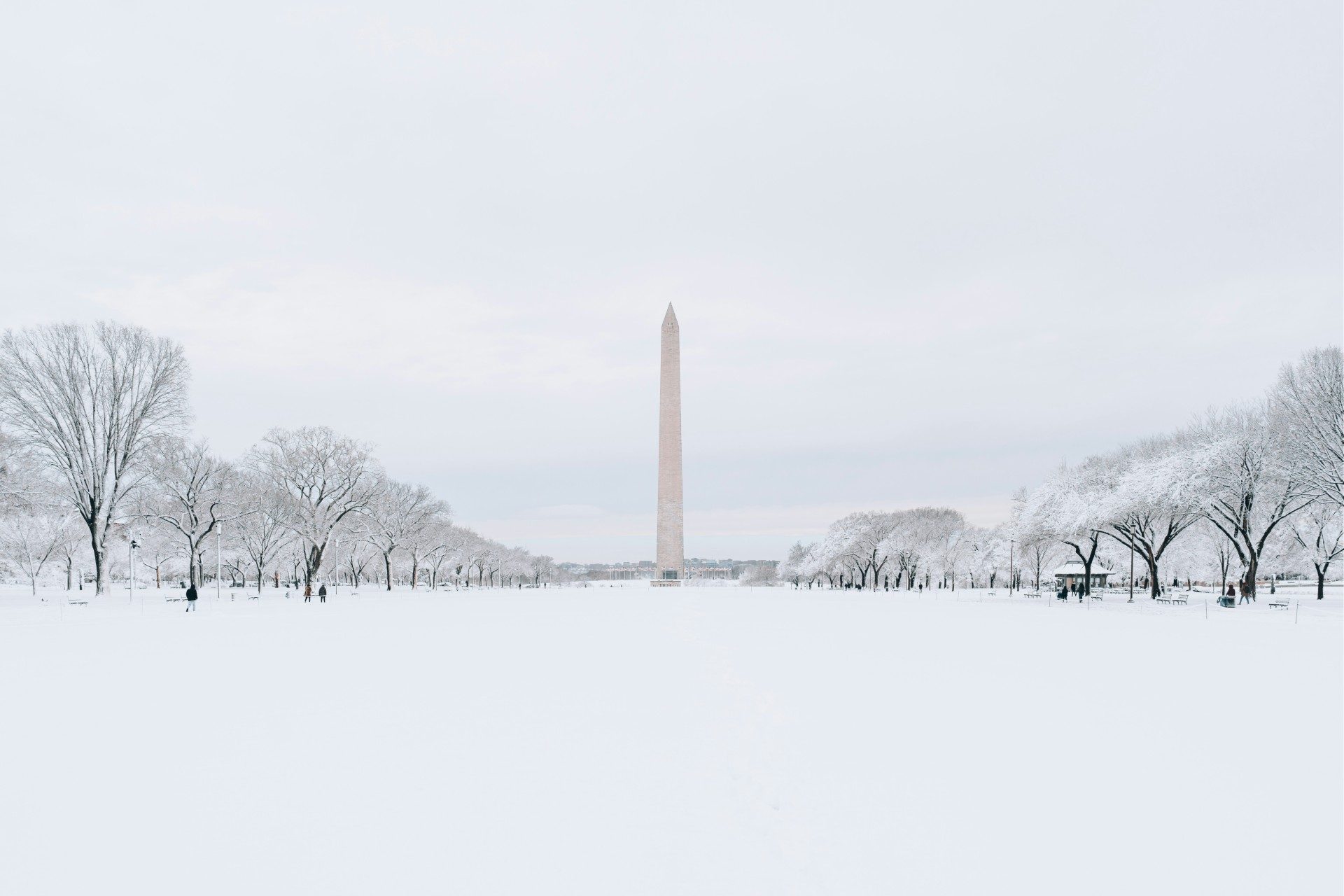 Washington, D.C. snow