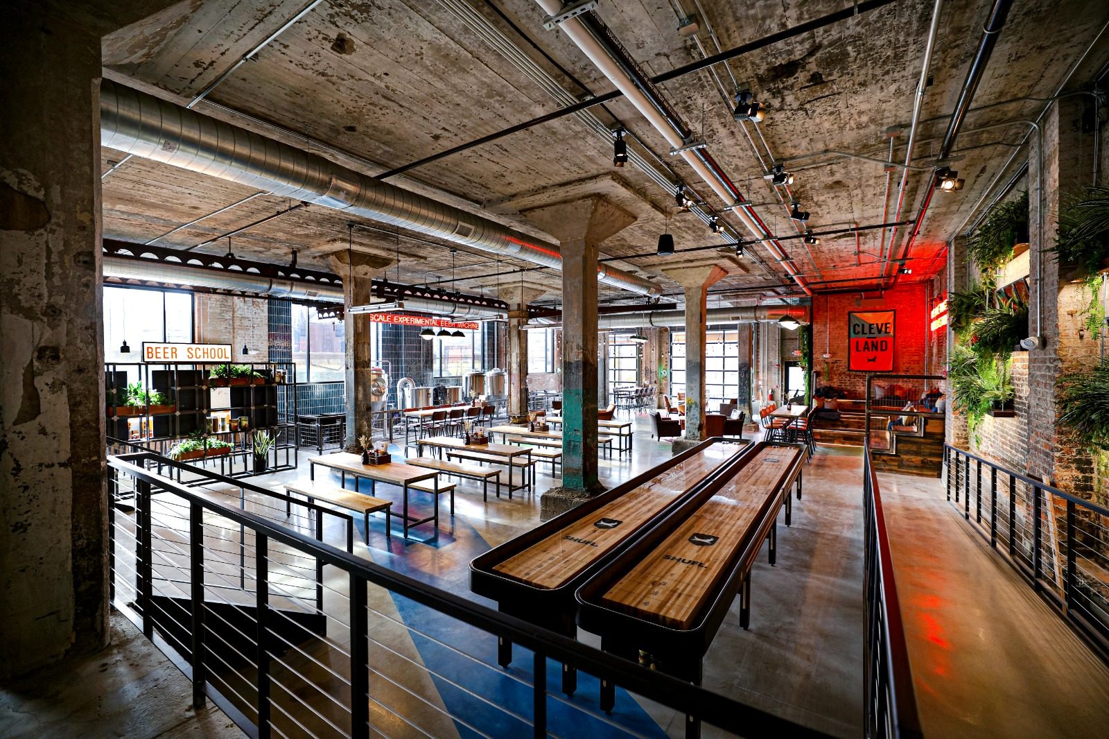 BrewDog