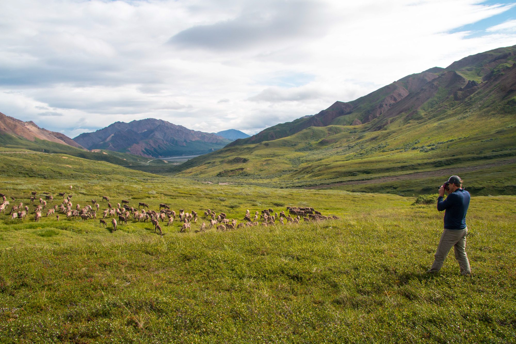 courtesy of AdventureSmith Explorations