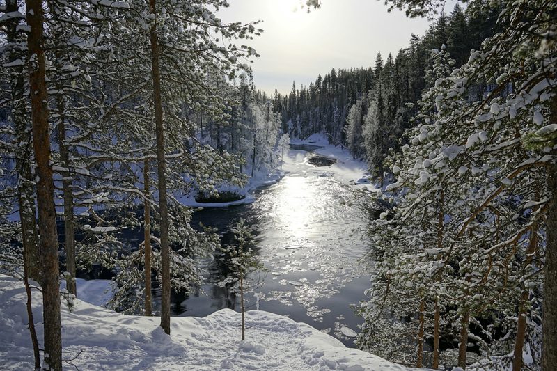 Oulanka National Park in Finland during the winter