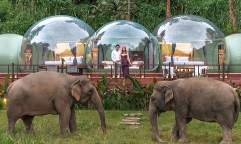 Anantara Golden Triangle - Chiang Rai, Thailand