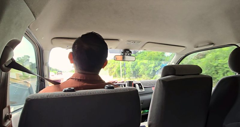 Picture of Daytrip driver from the back seat in the jungle