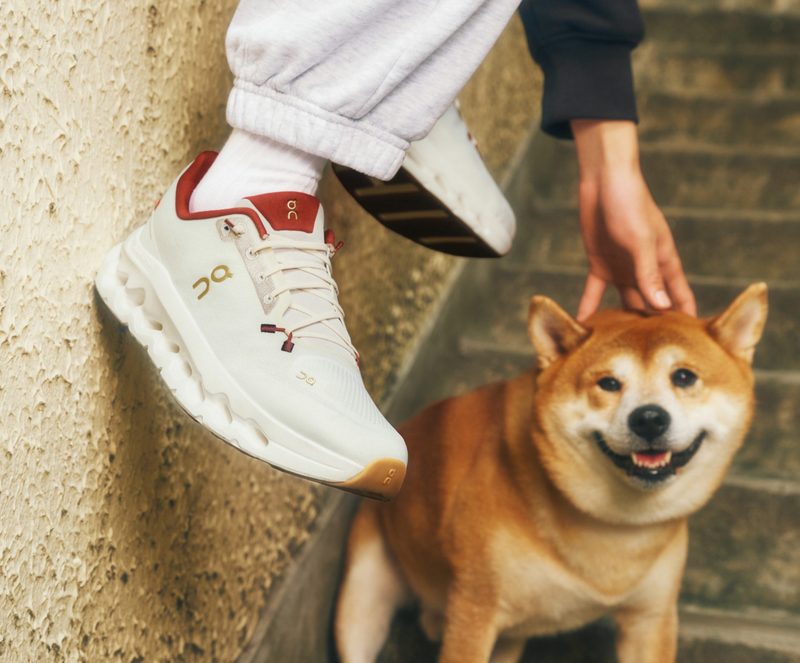 man wearing On sneakers petting dog