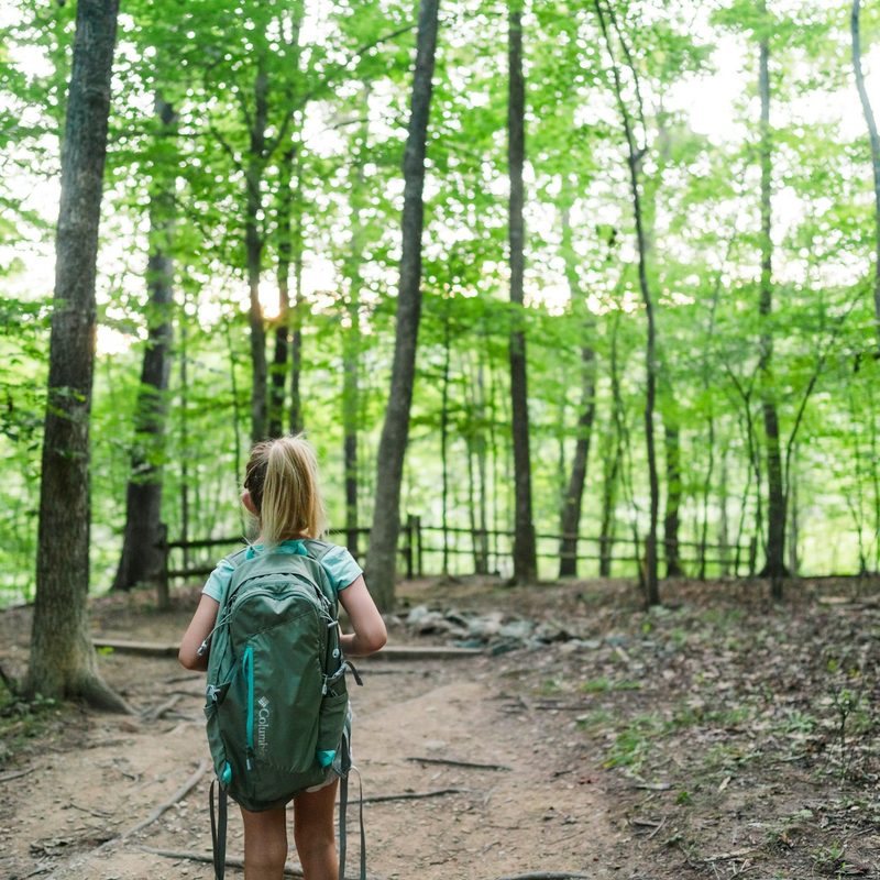 Hiking with kids through a forest