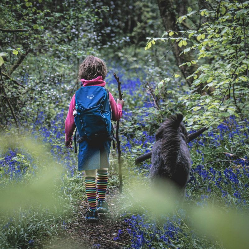 Kid hiking through the woods with a black dog