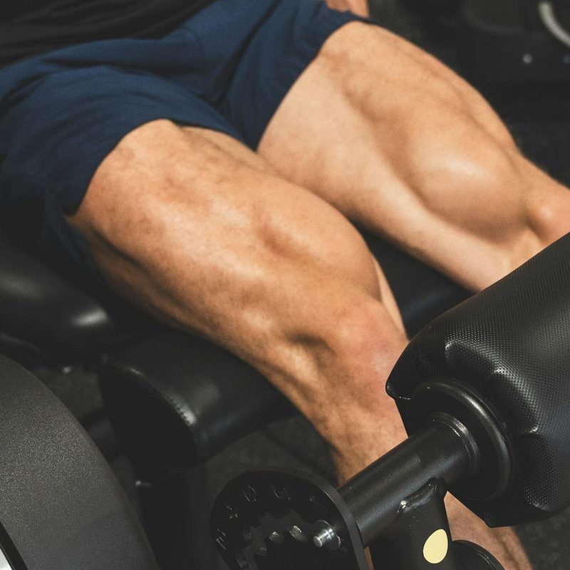 Quads muscles legs leg press knee extension machine gym close-up