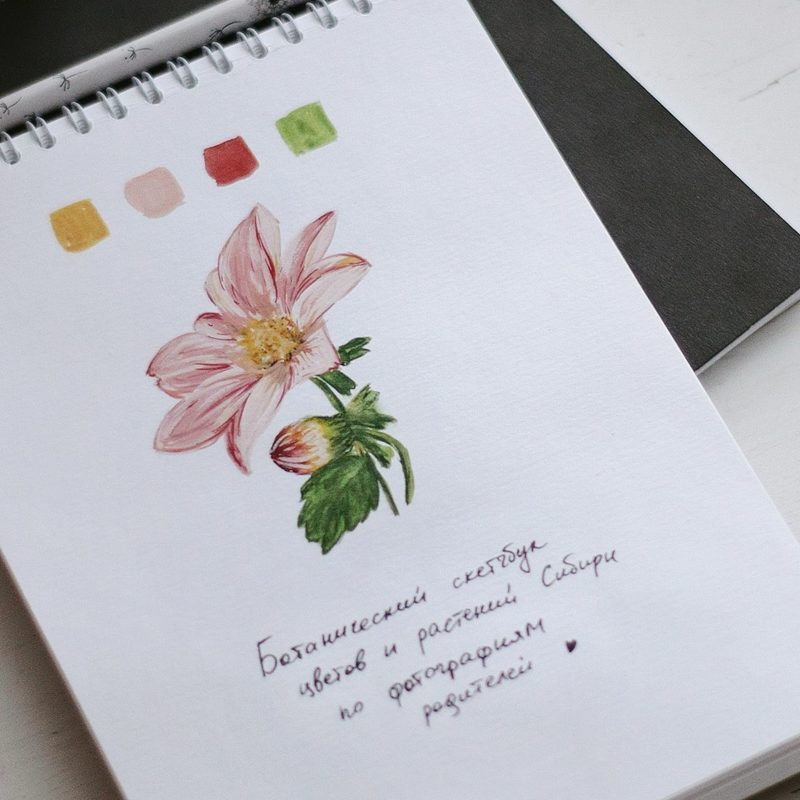 Drawing of a flower in a sketchbook