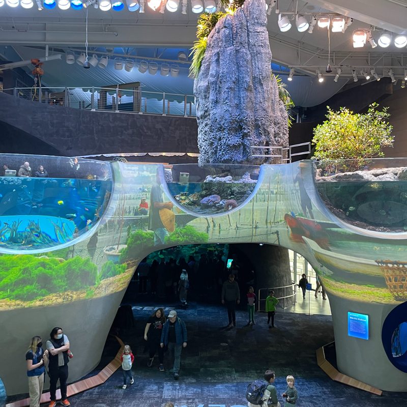 Seattle Aquarium lobby
