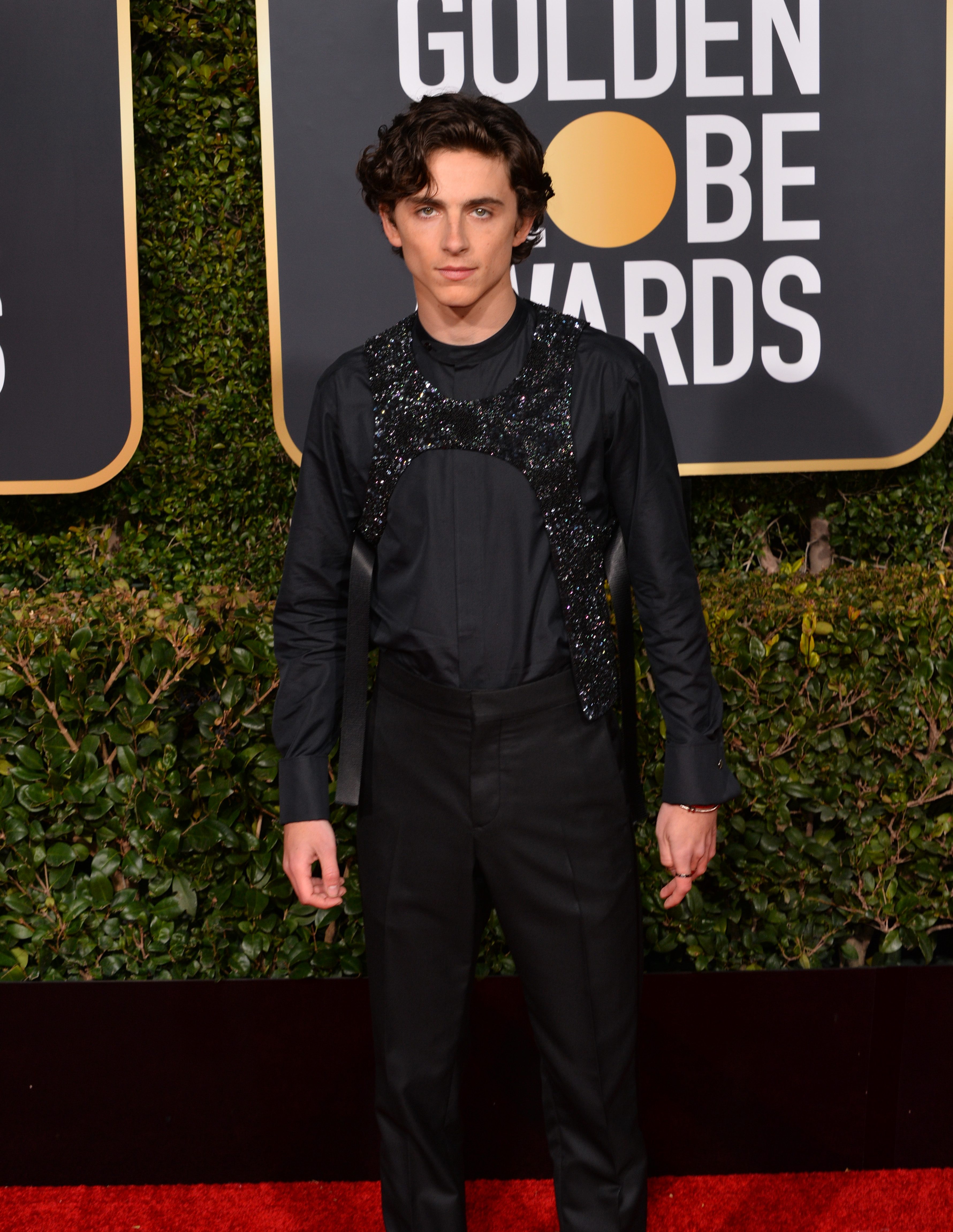 Timothee Chalamet at the 2019 Golden Globe Awards at the Beverly Hilton Hotel.