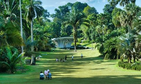 Singapore Botanic Gardens